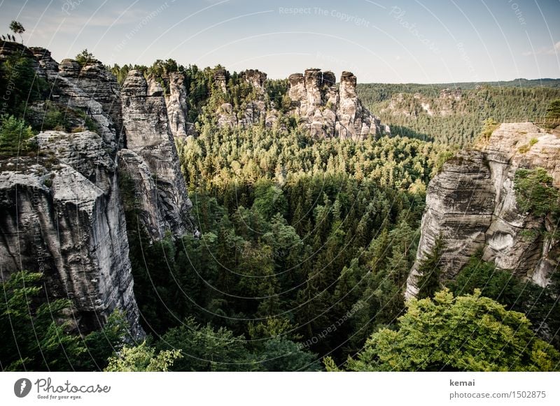 Felsenland Tourismus Ausflug Abenteuer Ferne Freiheit Umwelt Landschaft Pflanze Himmel Wolken Sonnenlicht Sommer Schönes Wetter Baum Wald Hügel Berge u. Gebirge