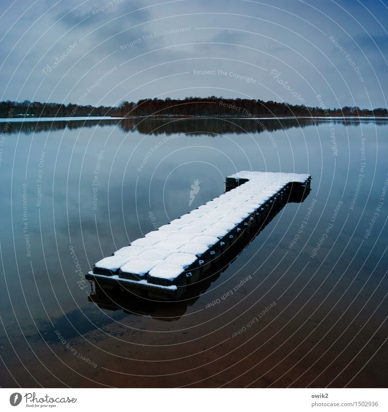 Wasserbett Umwelt Natur Landschaft Himmel Wolken Horizont Winter Klima Schönes Wetter Schnee Wald See Olba Lausitz Deutschland Sachsen Anlegestelle Steg liegen