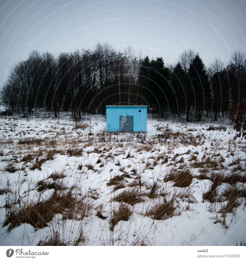 Kleines Blaues Technik & Technologie Zweckbau Wasserwirtschaft Umwelt Natur Landschaft Pflanze Himmel Wolken Horizont Winter Klima Schönes Wetter Eis Frost