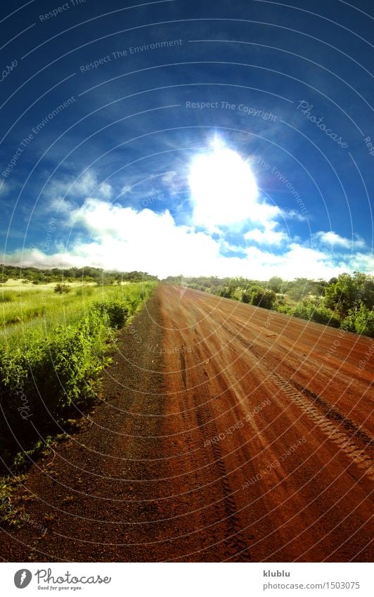 Straße in Senegal, Afrika exotisch Ferien & Urlaub & Reisen Tourismus Safari Umwelt Natur Landschaft Pflanze Himmel Wolken Horizont Klima Baum Park Verkehr PKW