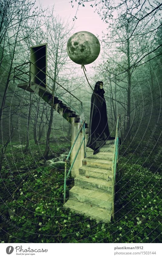 Mond Frau Erwachsene 1 Mensch Kraft Treppe Tür Luftballon Urwald Wald Baum Natur geheimnisvoll Phantasie Manipulation Digitalfotografie träumen schwarz Blume