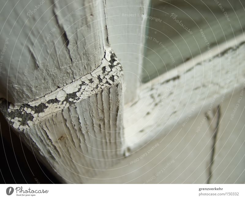 Lackschuppen Nahaufnahme Makroaufnahme Wetter Fenster Holz Glas weiß Vergänglichkeit Riss Fensterlack Rissbildung Fensterflügel Fensterscheibe Fensterrahmen