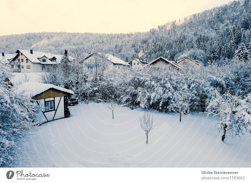 Neuschnee Garten Gartenhaus Umwelt Natur Himmel Sonnenlicht Winter Schnee Baum Sträucher Wiese Wald Hügel Kleinstadt Stadtrand Haus leuchten kalt weiß