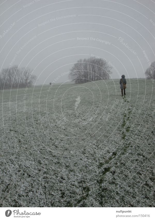 Spuren hinter mir Schnee weiß Fußspur Wege & Pfade hinten Wiese Baum Winter Einsamkeit Horizont Mantel kalt Frau Stapfen