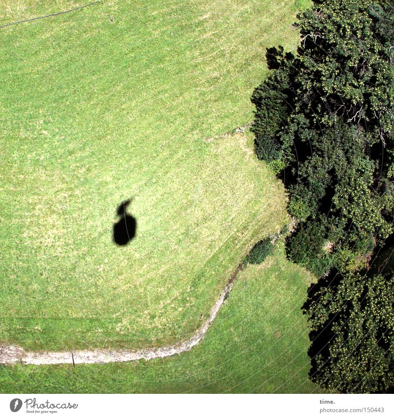 Up-Date (blind version) Berge u. Gebirge Luftverkehr Baum Wiese Wald Verkehrsmittel Wege & Pfade Fahrzeug Seilbahn ästhetisch bedrohlich Unendlichkeit