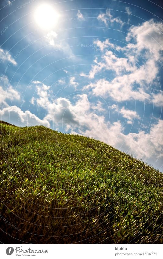 Wiese im Frühling Stil Design Erholung Sommer Sonne Natur Landschaft Himmel Wolken Gras Blatt Skyline Linie frei frisch Sauberkeit blau grün weiß Frieden Feld