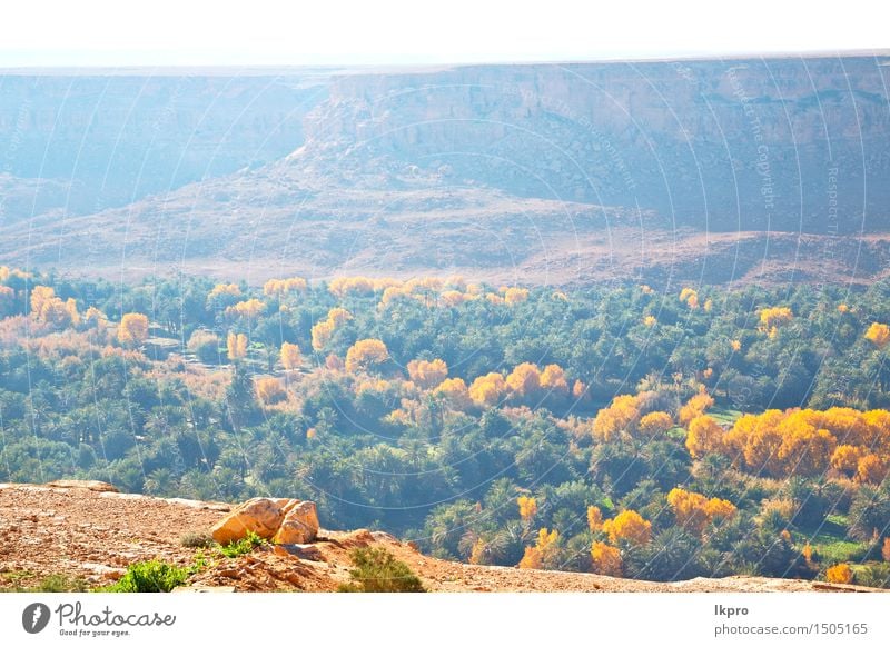 im tal marokko afrika der atlas trockener berg Sommer Winter Berge u. Gebirge Natur Landschaft Pflanze Himmel Horizont Klima Blatt Hügel Felsen Straße Stein alt