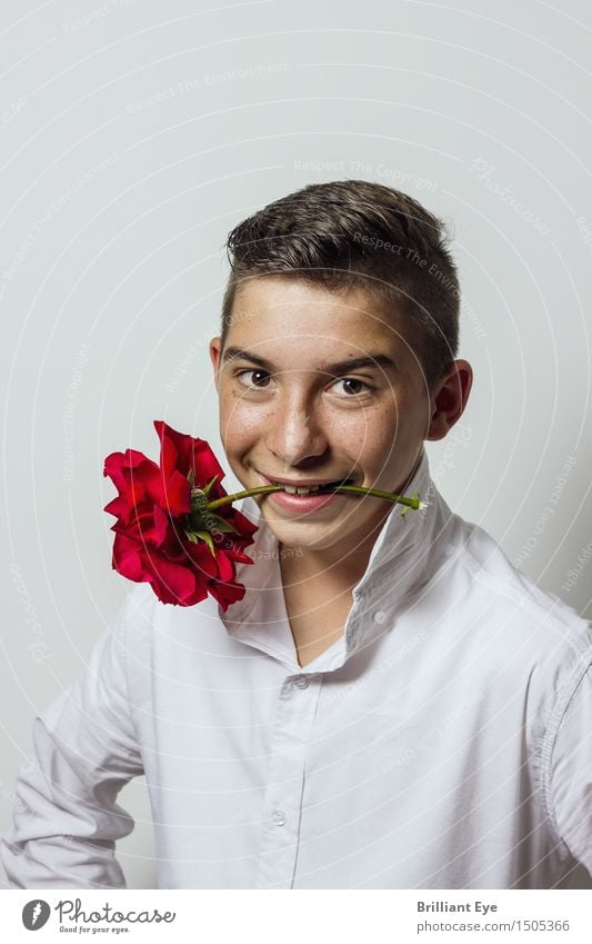 Rosenkavalier Freizeit & Hobby Flirten Valentinstag maskulin Junge 13-18 Jahre Jugendliche Hemd Liebe Blick Coolness frech Glück niedlich Gefühle Stimmung