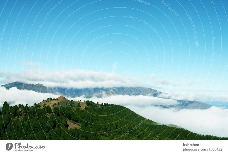 wo die träume wohnen Ferien & Urlaub & Reisen Tourismus Ausflug Abenteuer Ferne Freiheit Natur Landschaft Himmel Wolken Schönes Wetter Baum Wald