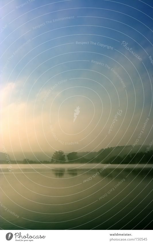 Morgennebel See Seeufer Baum Nebel Textfreiraum kalt Himmel Romantik Natur Erholung ruhig Umweltschutz Feisneck