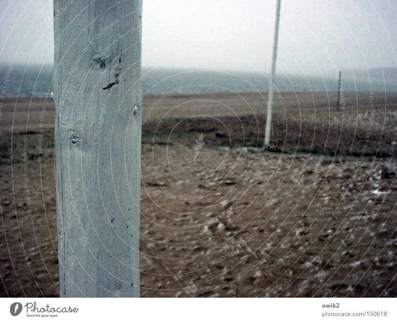 Strandhölzer Landschaft Urelemente Erde Sand Wasser Himmel Horizont Winter schlechtes Wetter Seeufer Stausee Fahnenmast Pfosten Schilder & Markierungen stehen