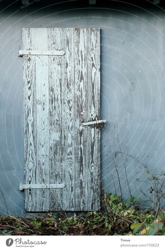 und nebenan... alt Holztür Wand Hexenhaus geheimnisvoll verborgen Versteck Neugier verfallen Einsamkeit Schuppentür Stalltür kalte Farben