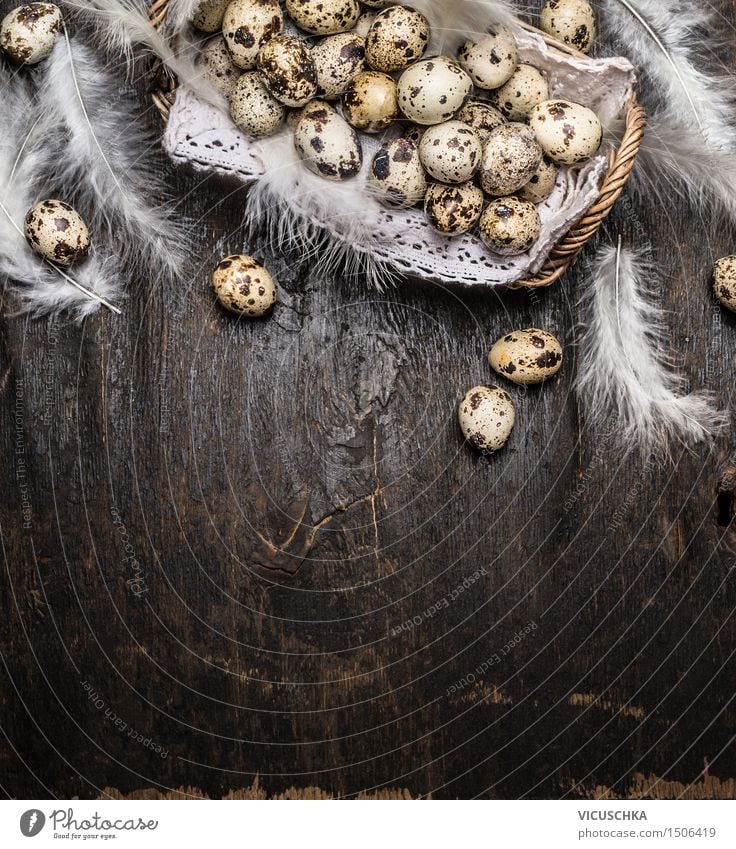 Wachteleier im Korb mit Federn Lebensmittel Stil Design Gesunde Ernährung Haus Innenarchitektur Dekoration & Verzierung Tisch Ostern Natur Hintergrundbild Nest