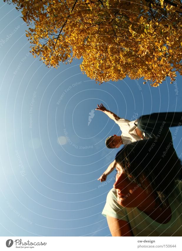 DER ÜBERFLIEGER Frau Mensch springen fliegen Baum Jugendliche Paar Sonne Herbst Mann Vertrauen Freude Sommer Funsport Luftverkehr