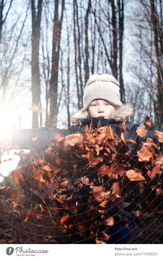 Herbst Lifestyle Freiheit Mensch maskulin Junge Junger Mann Jugendliche 3-8 Jahre Kind Kindheit Natur Himmel Baum Park Wald Duft Erholung genießen