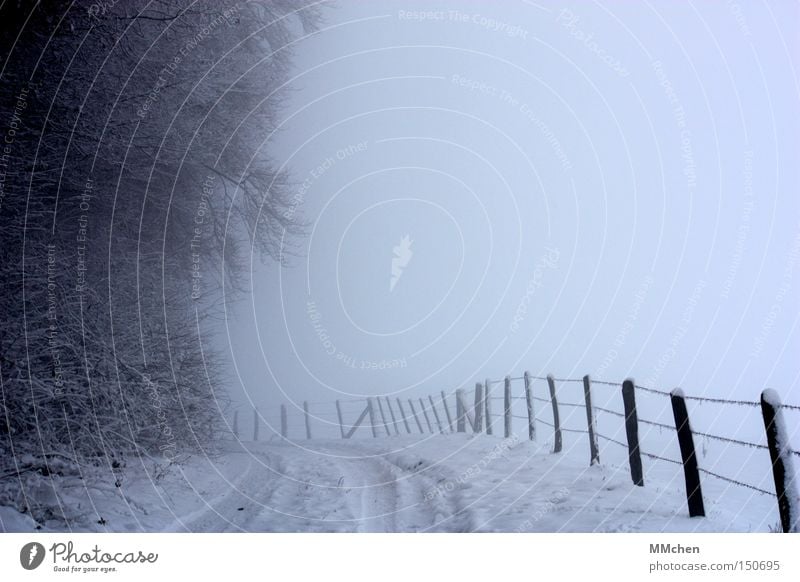 Stille Winter Nebel Schnee Wege & Pfade Wald Zaun Romantik Spaziergang Eifel Unendlichkeit ungewiss Spuren Waldrand ruhig