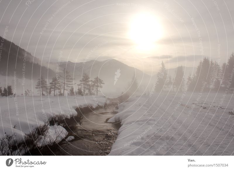 WinterWonderLand Berge u. Gebirge wandern Natur Landschaft Wasser Himmel Wolken Nebel Schnee Baum Alpen Bach kalt Dunst Farbfoto Gedeckte Farben Außenaufnahme