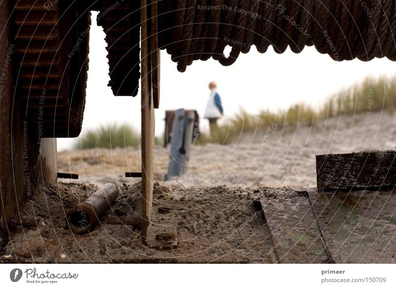 Maschinenmensch Herbst Monochrom Trauer Vergangenheit Sehnsucht Vergänglichkeit Ocker Natur Tod Strand alt unbrauchbar vergessen Stranddüne Düne Erde Sand