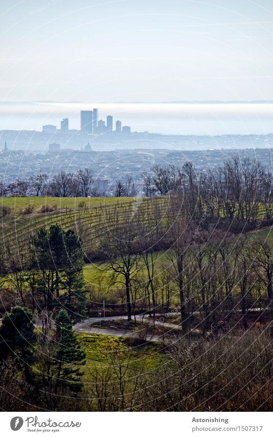 die Stadt in der Ferne IV Umwelt Natur Landschaft Pflanze Himmel Wolken Horizont Herbst Wetter Nebel Baum Gras Sträucher Feld Hügel Wien Österreich Hauptstadt