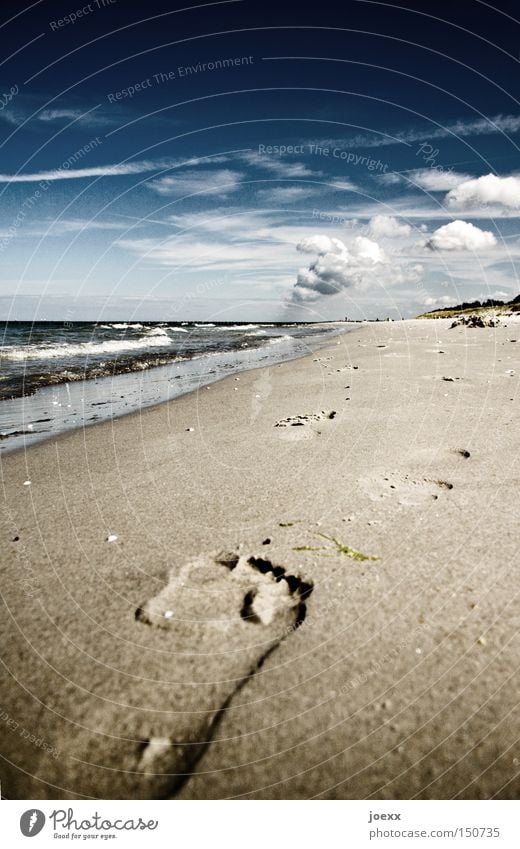 Barfußmädchen Erholung Fußspur Himmel Meer Muschel ruhig Sandstrand See Spaziergang Spuren Strand Ferien & Urlaub & Reisen Wasser Wellen Wolken Küste Sommer