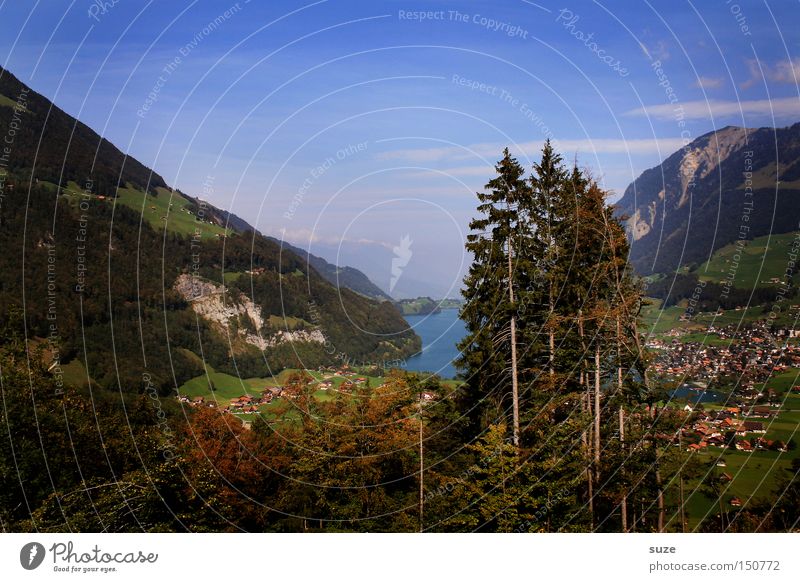 Talblick Erholung Ferien & Urlaub & Reisen Ausflug Sommer Sommerurlaub Berge u. Gebirge wandern Umwelt Natur Landschaft Urelemente Himmel Schönes Wetter Baum