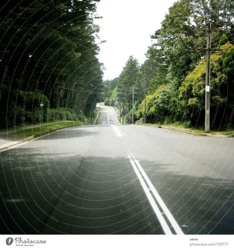 Take me home, country roads Straße Mittelstreifen Wald grün KFZ Tanne Asphalt Beton Seitenstreifen Rasen Baum quer diagonal Ferne Wege & Pfade Verkehrswege