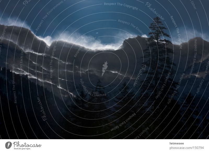 Der Felbertauern Österreich Schneesturm Wind Baum Tanne Fichte blau kalt Gegenlicht Bundesland Tirol Berge u. Gebirge Wechte Winter Sturm