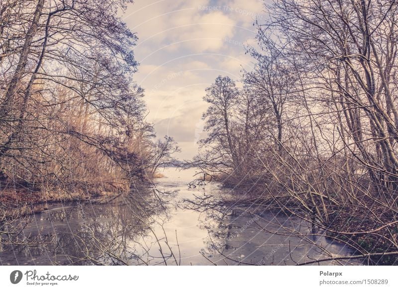 Gefrorener See in der Winterzeit schön Sonne Natur Landschaft Wetter Schneefall Baum Park Wald Fluss hell natürlich blau weiß Skandinavien Dänemark Frost kalt