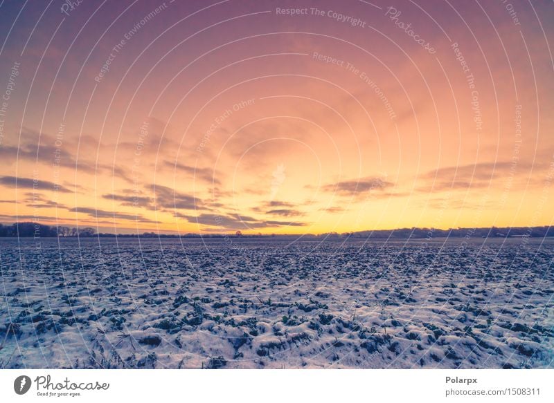 Sonnenaufgang in einer Winterlandschaft schön Ferien & Urlaub & Reisen Schnee Umwelt Natur Landschaft Himmel Wolken Klima Wetter Gras Park Wald natürlich blau