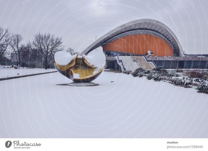 Auster mit Zitrone auf Eis Winter Wetter Frost Schnee Baum Stadt Hauptstadt Stadtzentrum Menschenleer Haus Bauwerk Gebäude Architektur Mauer Wand Treppe Fassade