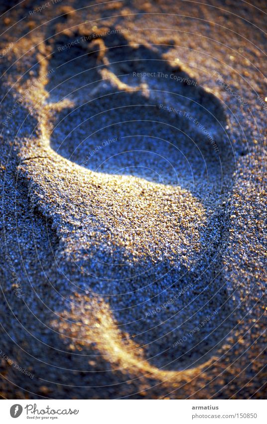 Footprint Sand Meer Fußspur Ferien & Urlaub & Reisen Freiheit Strand Anatomie Sommer available light Barfuß