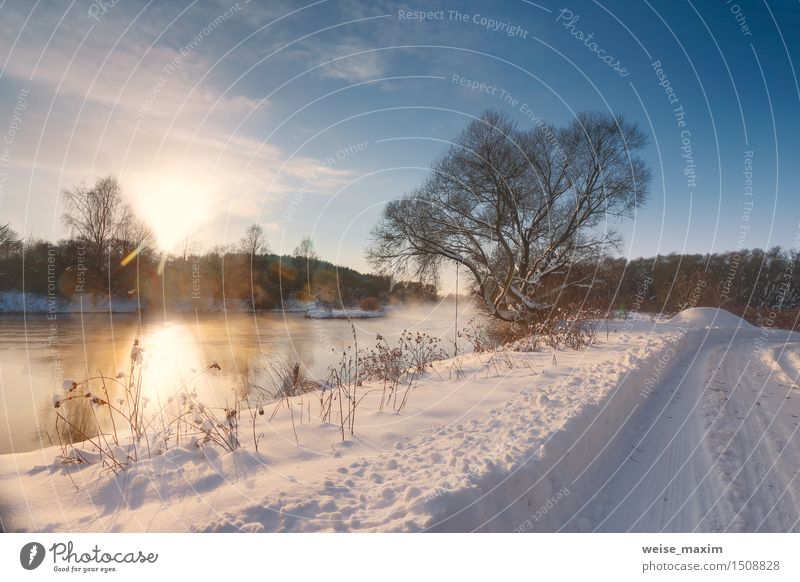 Sonniger Wintermorgen auf einem Fluss Sonne Schnee Natur Landschaft Himmel Wolken Nebel Baum Gras Sträucher Wiese Feld Wald Flussufer blau gelb schwarz weiß