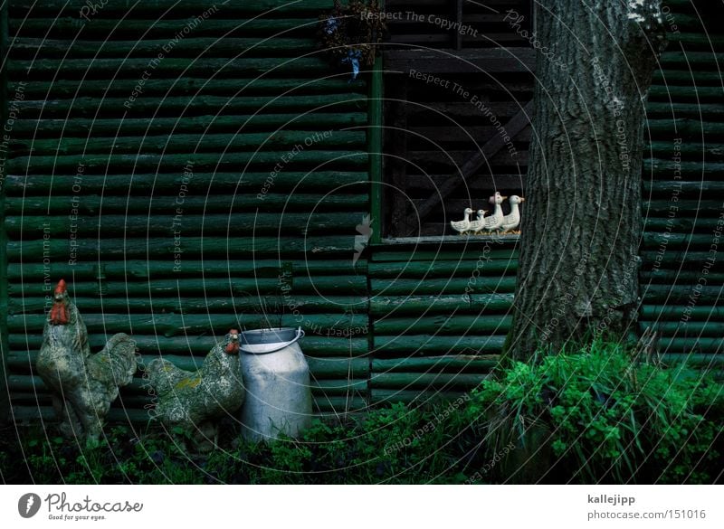 gut zu vögeln Stall Ente Dekoration & Verzierung Hütte Holz Baum Moos Kannen Landwirtschaft Bauernhof Tier Attrappe Vogel Nutztier