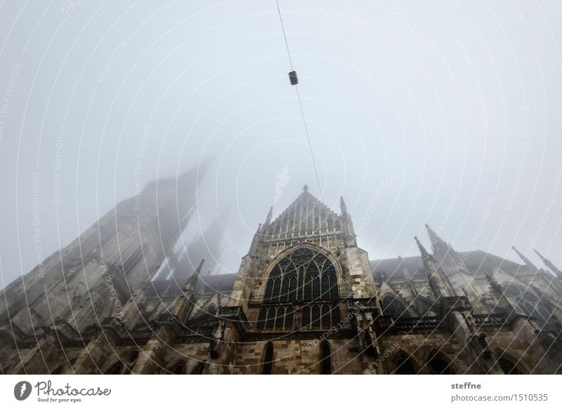 weg nach oben II Himmel Winter schlechtes Wetter Nebel Regensburg Kirche Dom Religion & Glaube Fassade Weitwinkel Farbfoto Gedeckte Farben Außenaufnahme