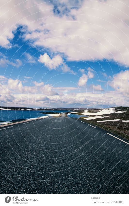 Norwegen Natur Landschaft Wasser Wolken Sommer Klima Schönes Wetter Schnee Hügel Berge u. Gebirge Fjord Verkehrswege Autofahren Straße Hochstraße Stein Beton