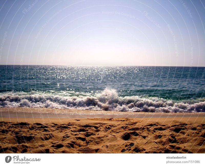 anaoj arap - ou cuando o mar fala Strand Meer Sand Wellen Himmel nass Aktion blau Schaum Horizont Schrecken Geschwindigkeit Sommer Portugal Alentejo Freude