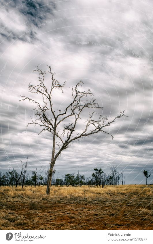 Out and back schön Erholung Ferien & Urlaub & Reisen Abenteuer Sommer Natur Landschaft Urelemente Feuer Himmel Wolken Klima Klimawandel Wetter Wärme Dürre