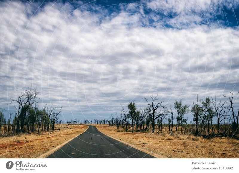 Roadtrip schön Erholung Ferien & Urlaub & Reisen Ausflug Abenteuer Sommer Umwelt Natur Landschaft Himmel Klima Klimawandel Wetter Pflanze Baum Wald Platz Straße