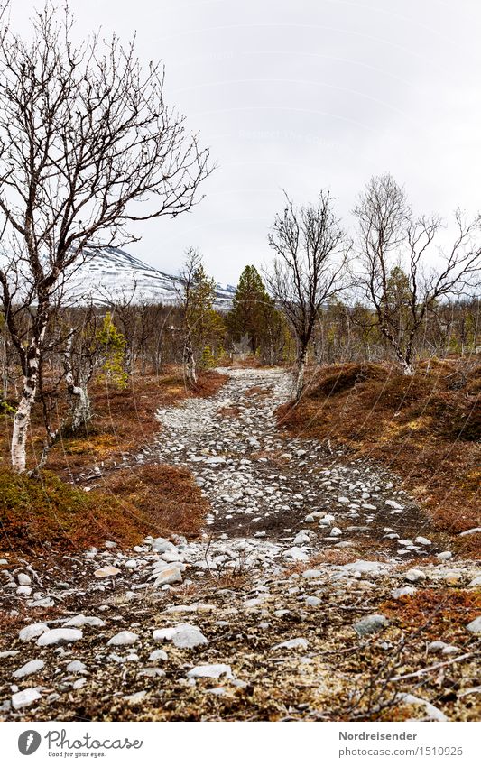 Furt Abenteuer Ferne Freiheit Berge u. Gebirge wandern Natur Landschaft Pflanze Urelemente Klima schlechtes Wetter Regen Baum Straße dunkel ruhig Ausdauer