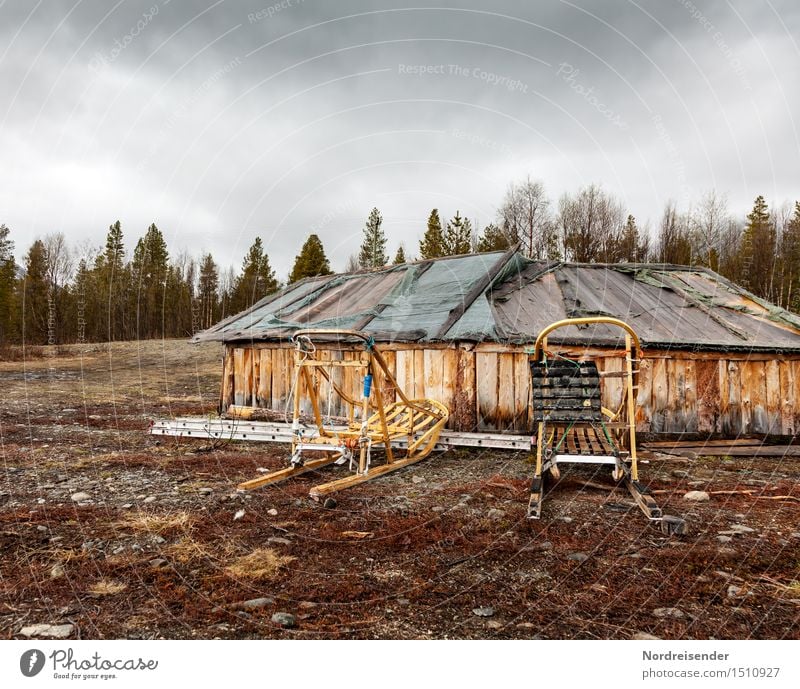 Hundeschlitten Abenteuer Ferne Freiheit Landschaft Wolken Klima Klimawandel schlechtes Wetter Wald Dorf Menschenleer Haus Hütte Bauwerk Gebäude Architektur