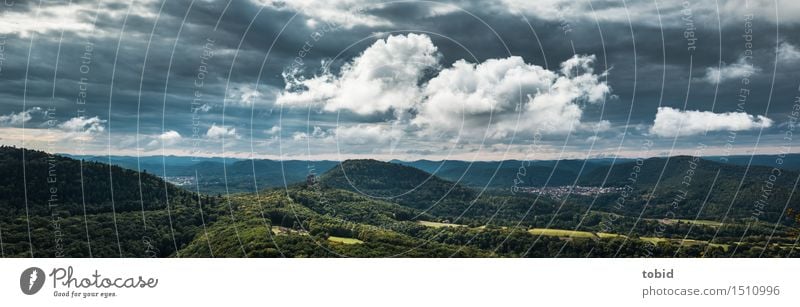 Ausblick Natur Landschaft Wolken Schönes Wetter Wiese Feld Wald Hügel Berge u. Gebirge Gipfel Ferne Horizont Idylle Panorama (Bildformat) Dorf Farbfoto