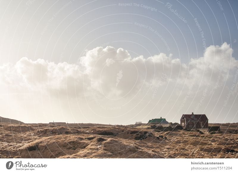 Iceland Landscape Umwelt Natur Landschaft Erde Himmel Wolken Sonne Sonnenlicht Herbst Schönes Wetter Gras Sträucher Moos Wiese Freiheit Klima Stimmung