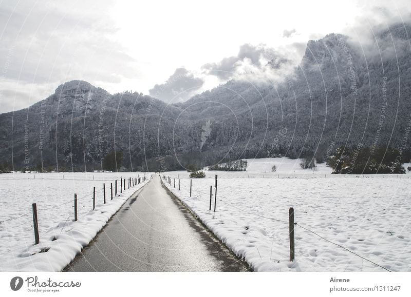 Endlichkeit Wolken Winter Nebel Schnee Feld Wald Alpen Berge u. Gebirge Schneebedeckte Gipfel Bergwald Straße Wege & Pfade Seitenstraße Linie fahren dunkel