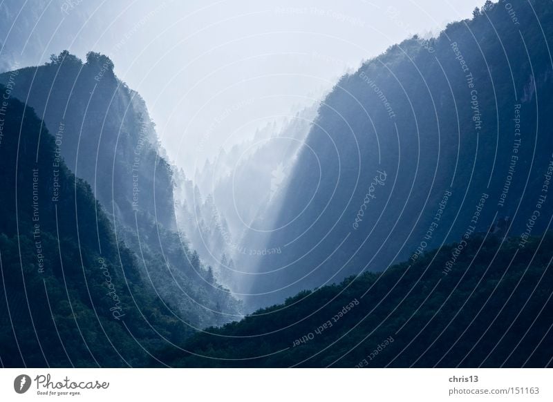 nebeltal Berge u. Gebirge Landschaft Sonnenlicht Nebel Wald Schlucht blau Energie Idylle ruhig Stimmung träumen Umwelt eng Farbfoto Außenaufnahme Menschenleer