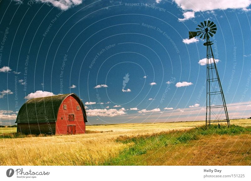 Friedliche Koexistenz Ferne Windkraftanlage Natur Wolken Sonnenlicht Sommer Schönes Wetter Gras Nutzpflanze Getreide Getreidefeld Getreideernte Getreidesilo