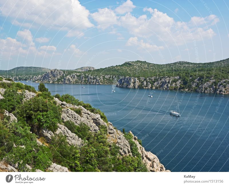 Slow Motion Ferien & Urlaub & Reisen Tourismus Ausflug Freiheit Sommer Sommerurlaub Sport Segeln Natur Landschaft Wasser Himmel Wolken Schönes Wetter Flussufer