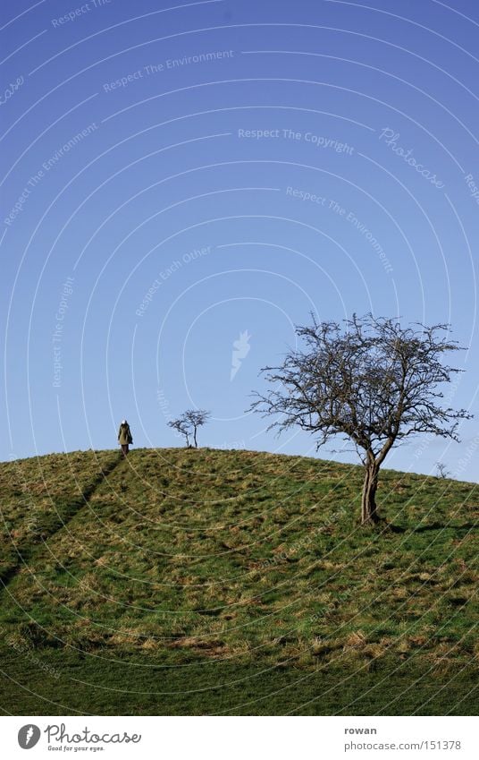 wanderer Baum Kulisse Hügel Sträucher Winter wandern Wege & Pfade Landschaft Spaziergang Erzählung Märchen Fußweg Kuppe