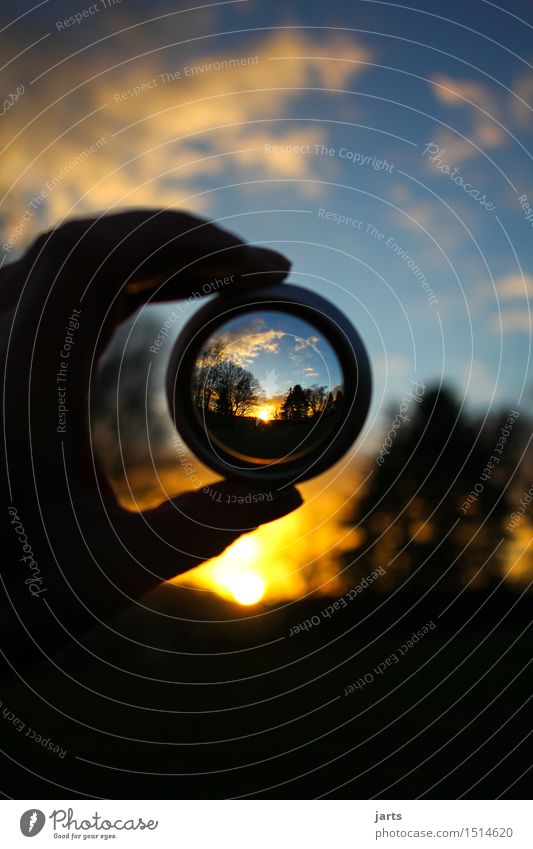 im fokus I Umwelt Natur Landschaft Wolken Sonnenaufgang Sonnenuntergang Schönes Wetter Baum beobachten entdecken Blick natürlich Ferne Lupe Objektiv Tunnelblick