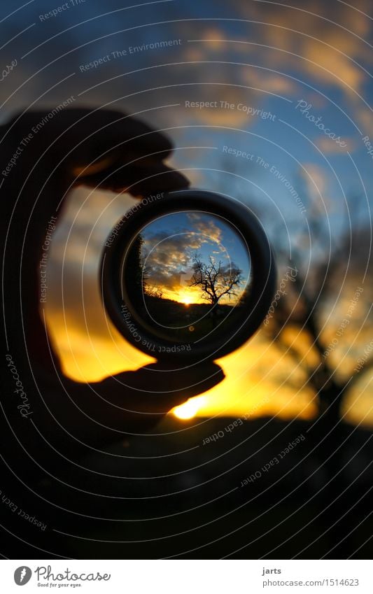 durchblick II Natur Landschaft Himmel Wolken Sonnenaufgang Sonnenuntergang Schönes Wetter Pflanze Baum Wald beobachten Blick natürlich Gelassenheit geduldig