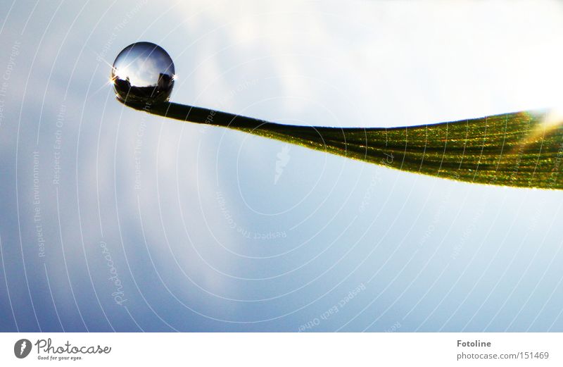 Kleines Universum II Herbst Gras Halm Himmel Sonne blau weiß frisch Frühling Sommer Wassertropfen grüß Klarheit Regen Seil